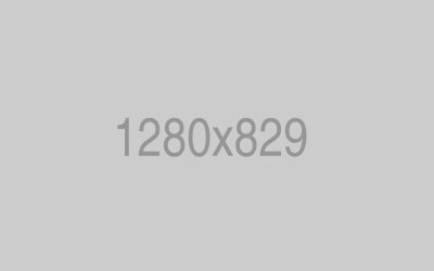 We Execute Our Ideas